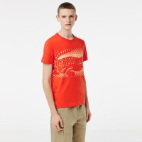 Lacoste Novak Djokovic T-shirt arancione