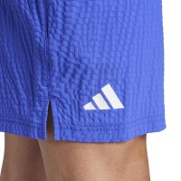 Adidas Ergo Pro Blue Shorts